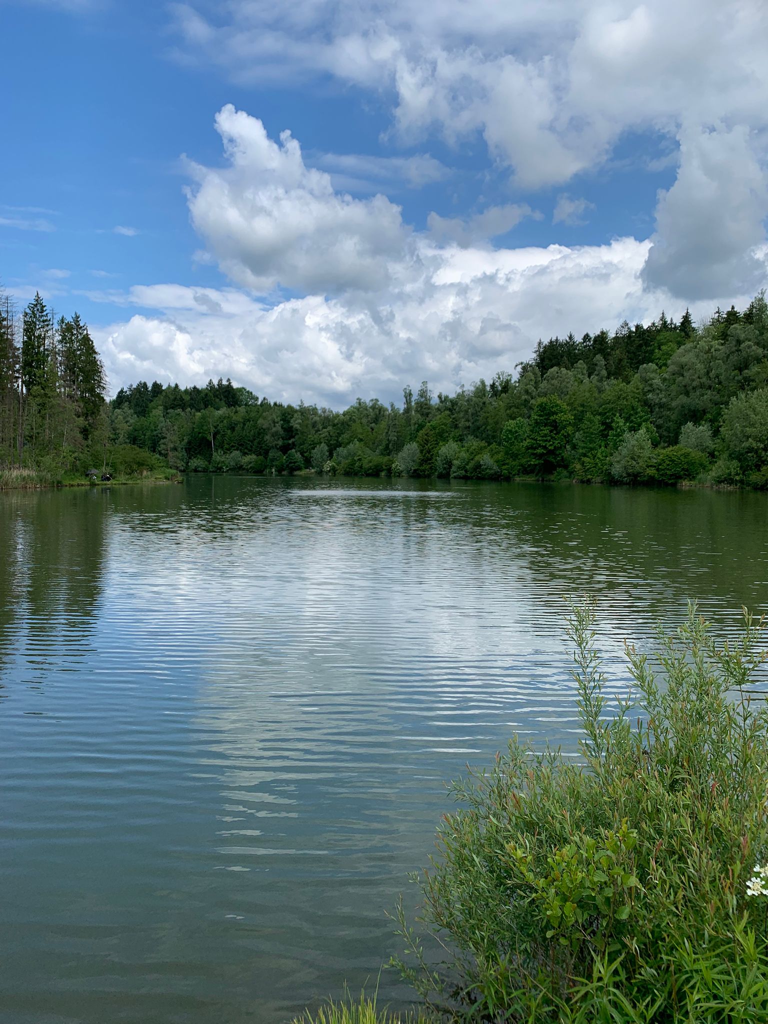 Hürdenteich — Gewässeraufnahme 4