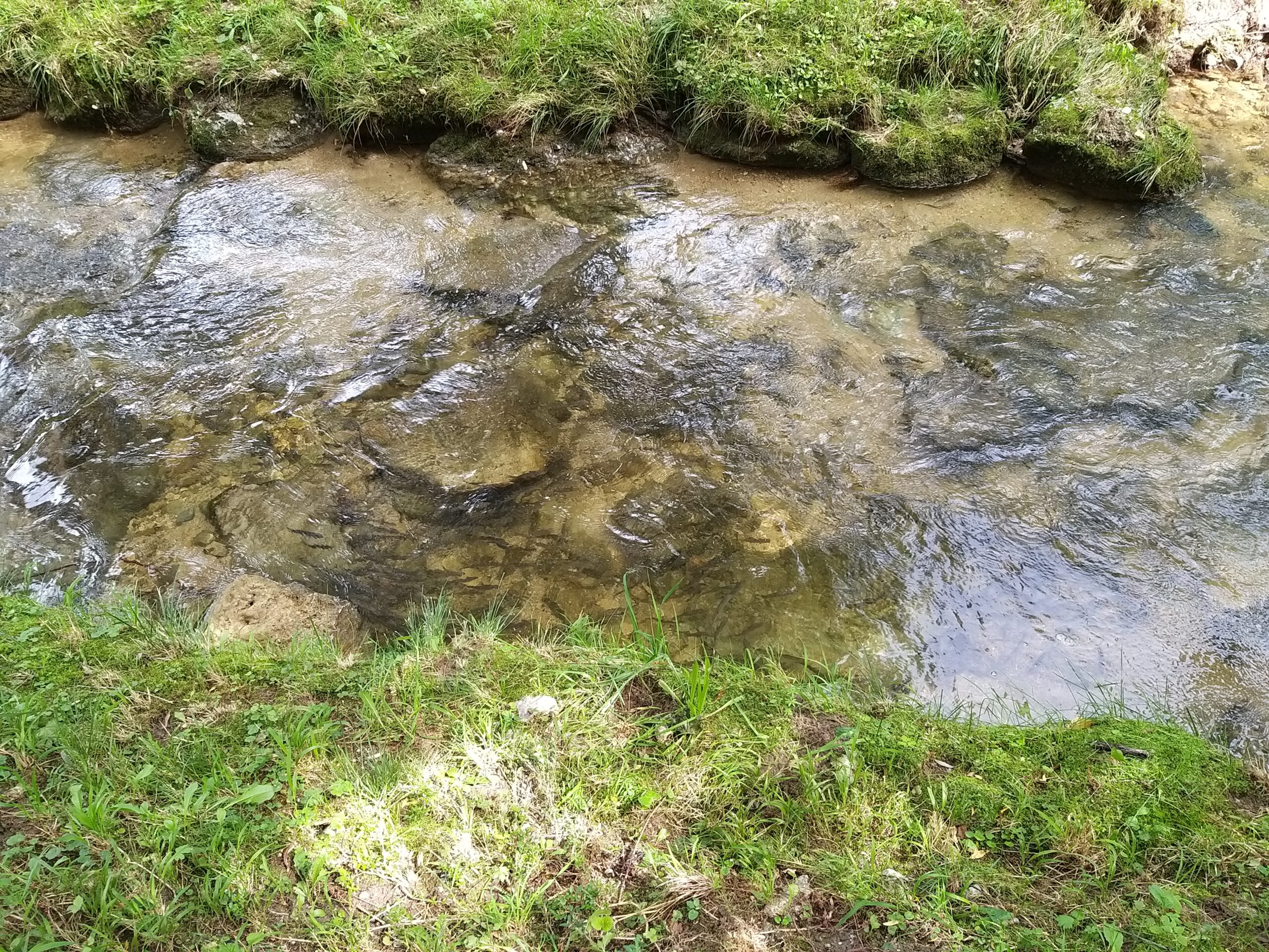 Alterbach — Kleines Gewässer, großer ökologischer Wert
