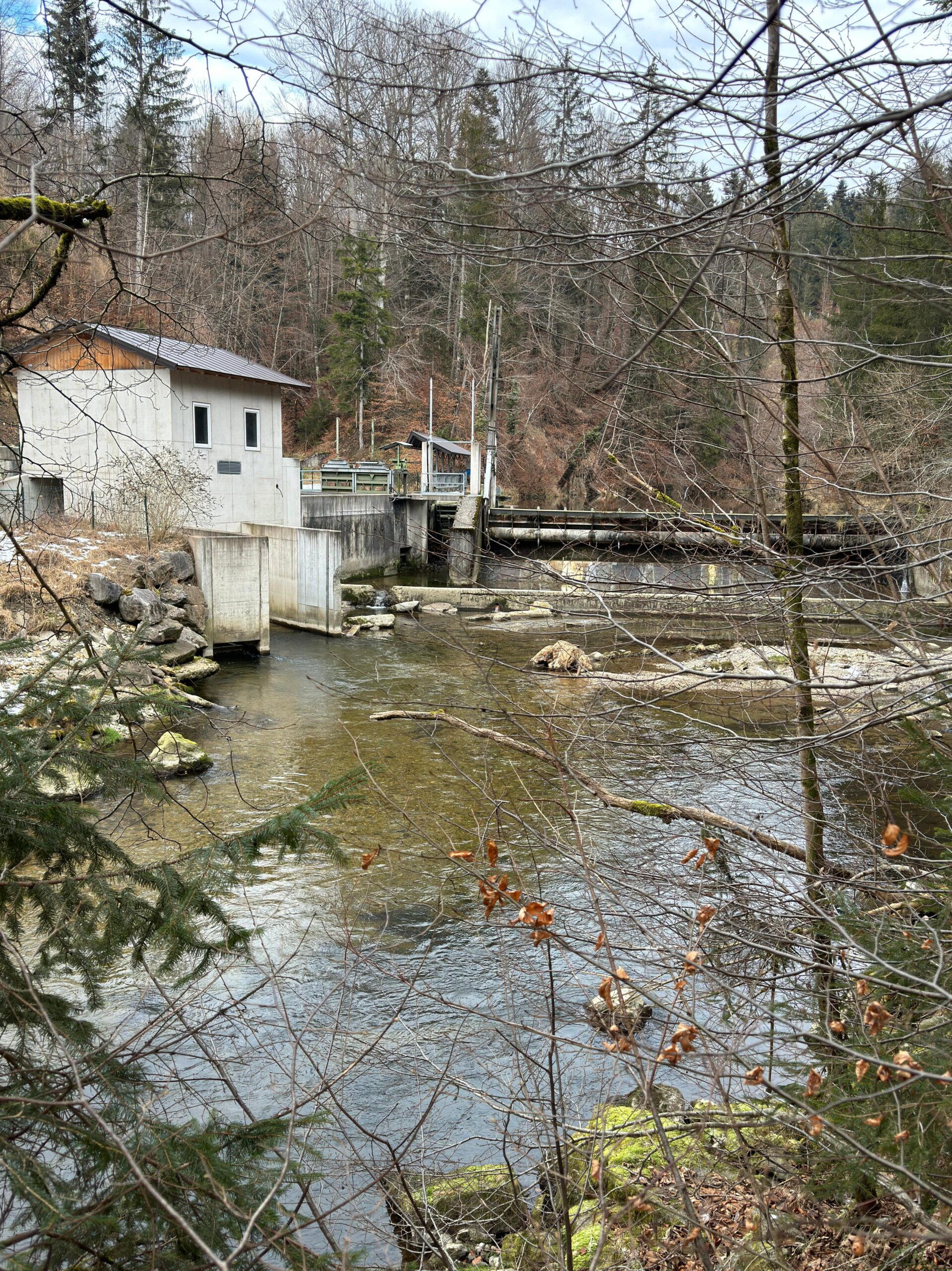 Fischach — Gewässeraufnahme 4