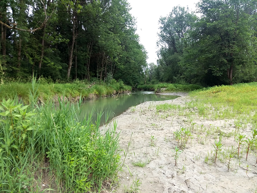 Reitbach — Gewässeraufnahme 2
