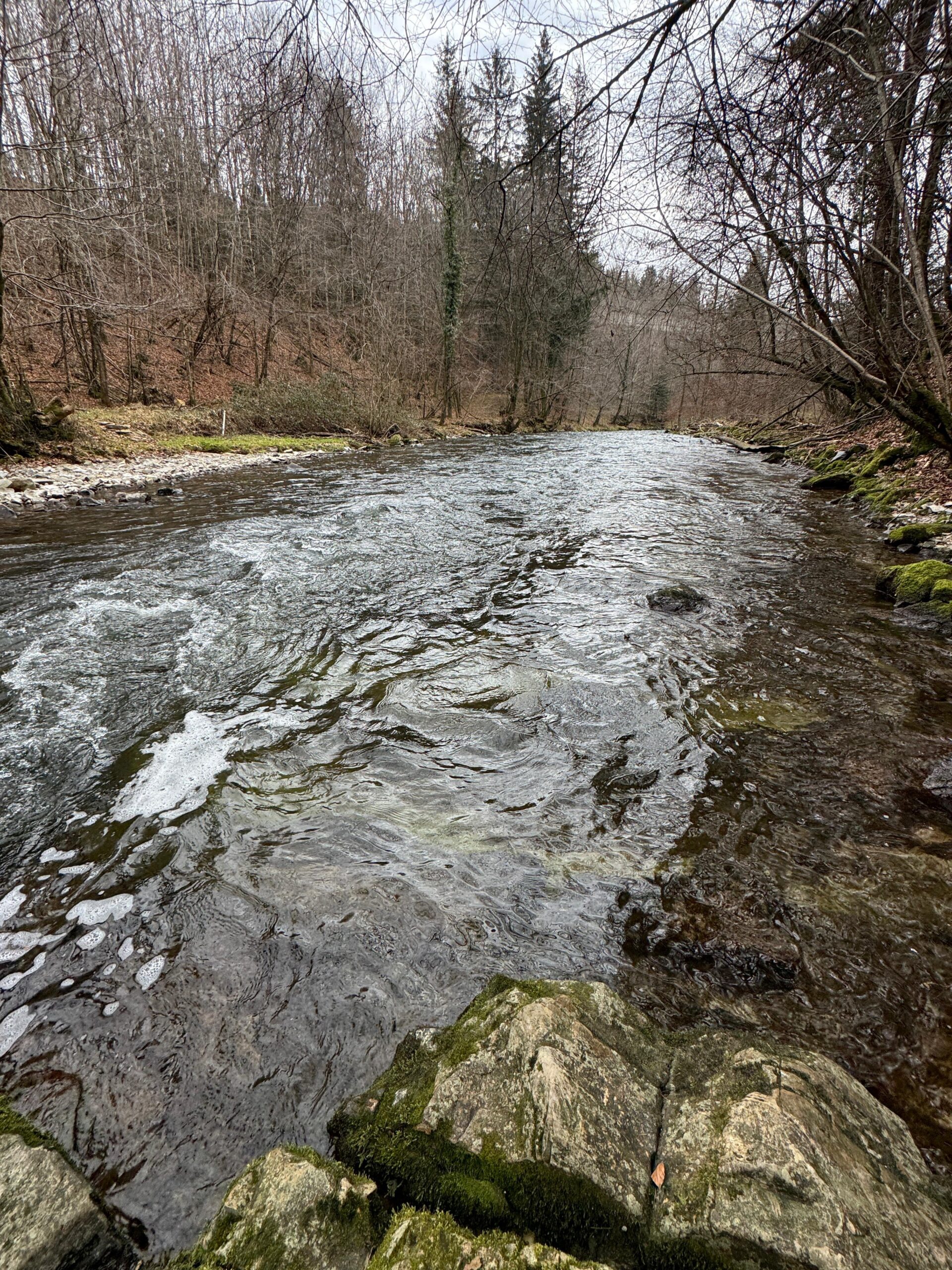 Fischach — Gewässeraufnahme 3