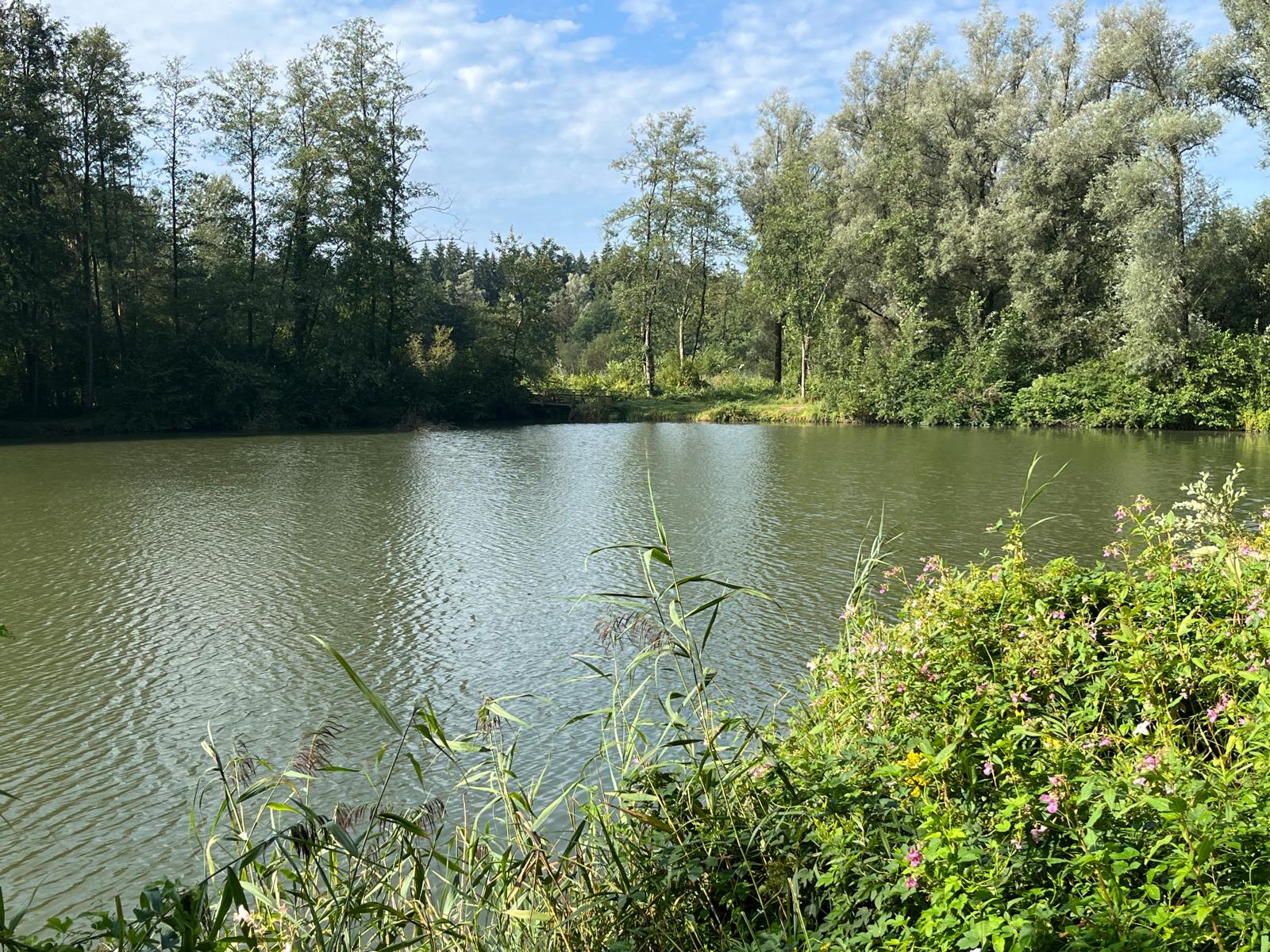Hürdenteich — Gewässeraufnahme 2