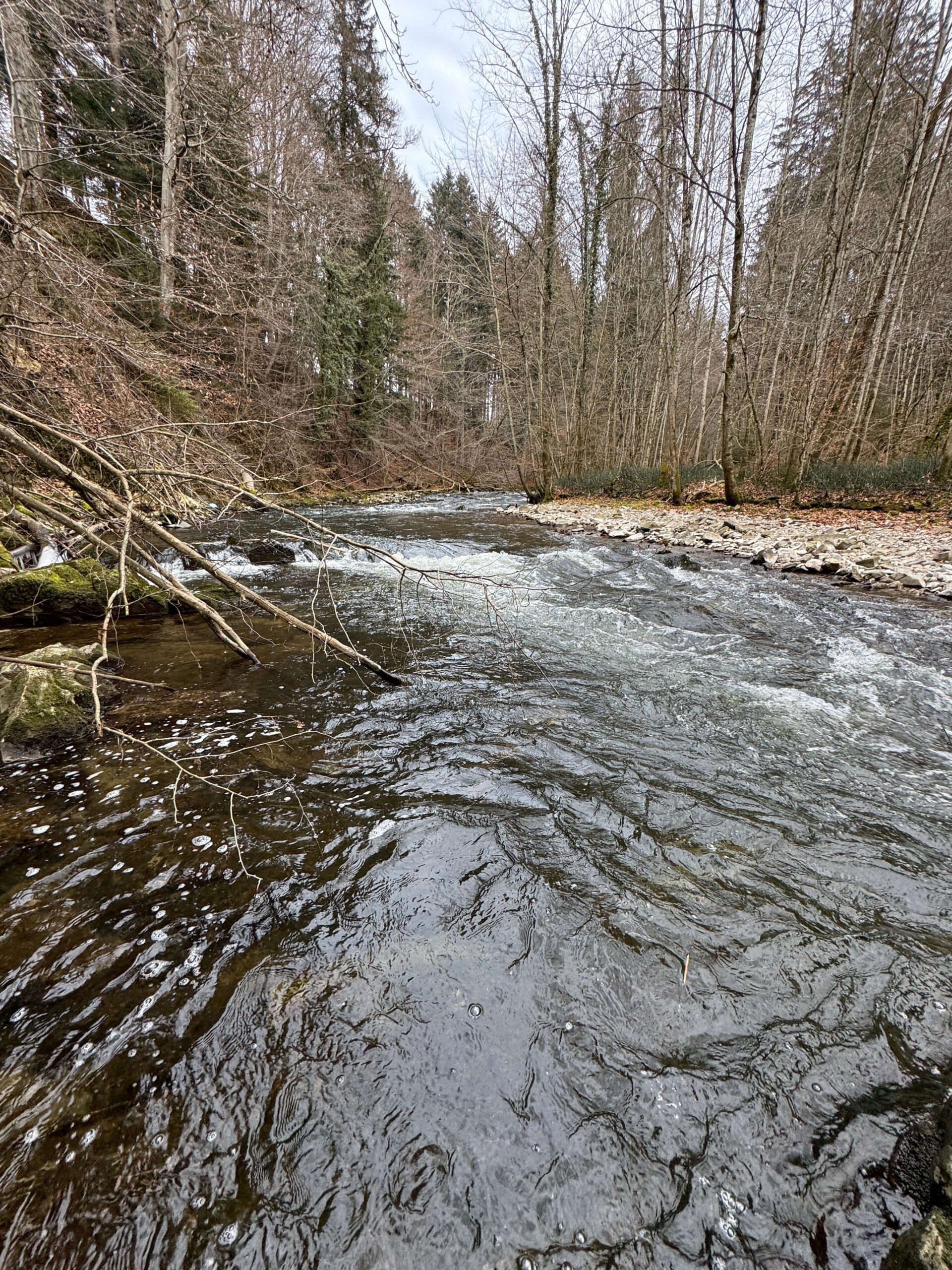 Fischach — Gewässeraufnahme 2