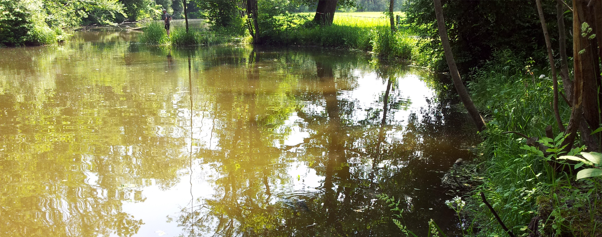 Riedersbacher Lacken — Gewässeraufnahme 3