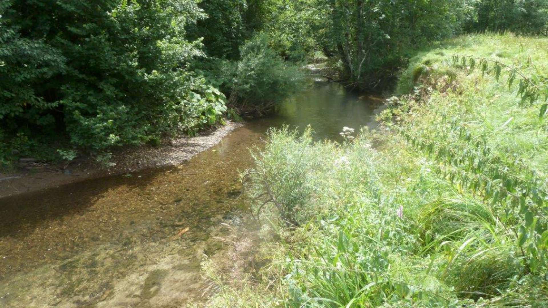 Brunnbach – Tiefbrunnau/Faistenau — Gewässeraufnahme 1