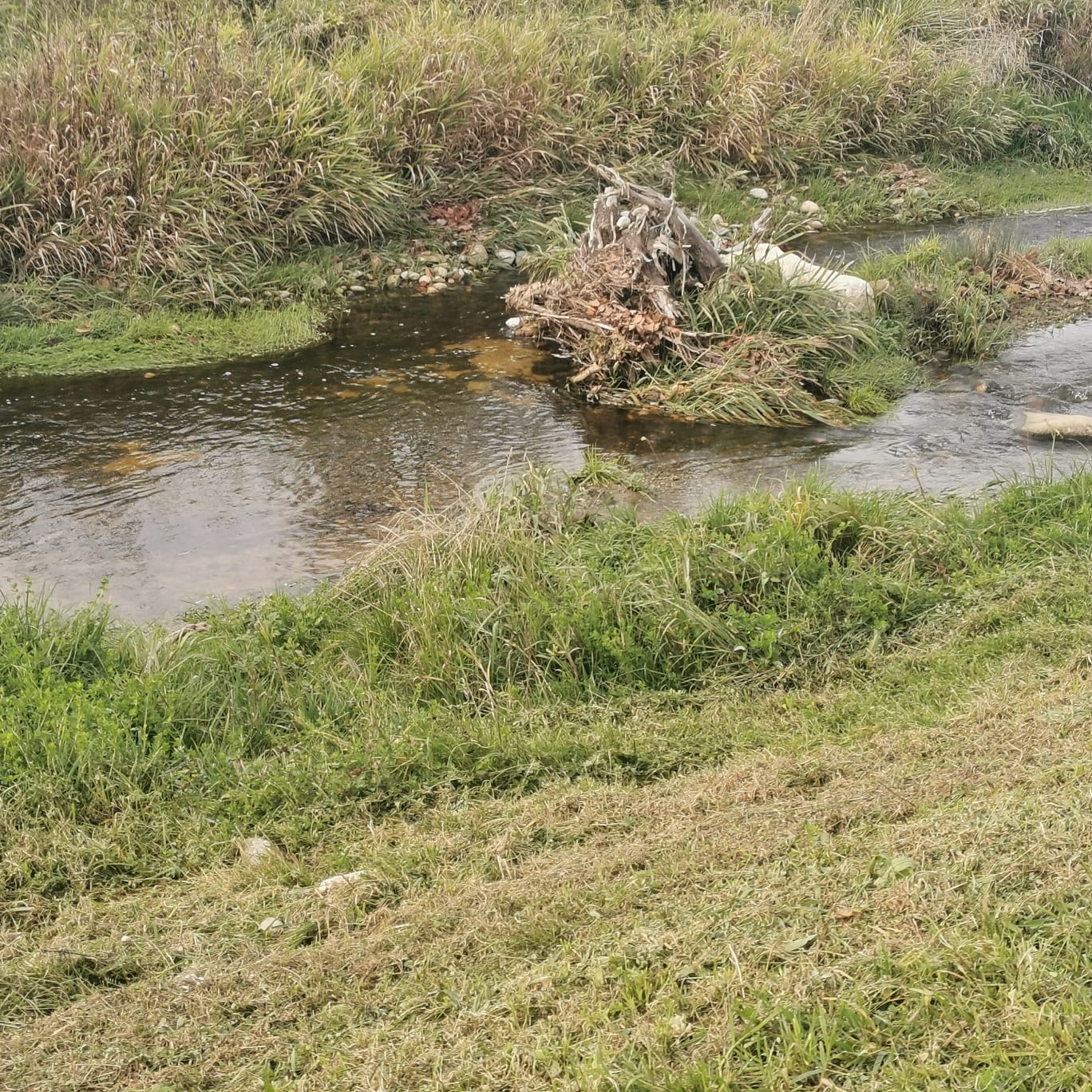 Pladenbach — Gewässeraufnahme 1