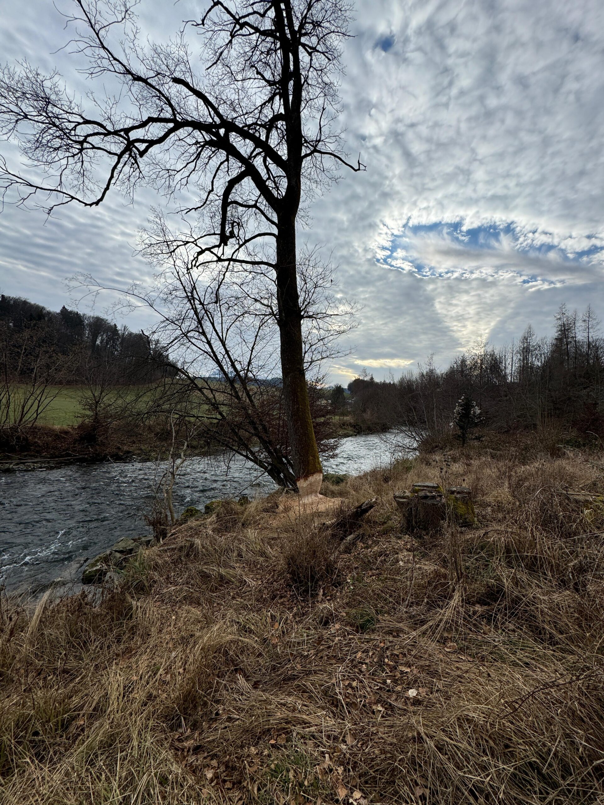 Fischach — Gewässeraufnahme 1