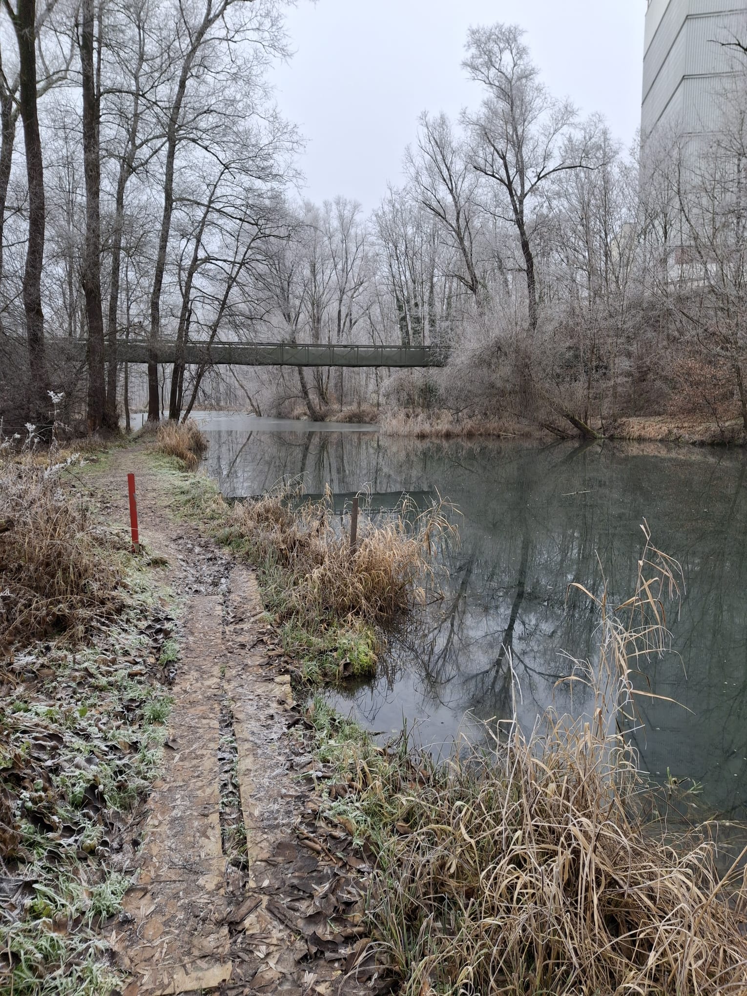Riedersbacher Lacken — Gewässeraufnahme 1