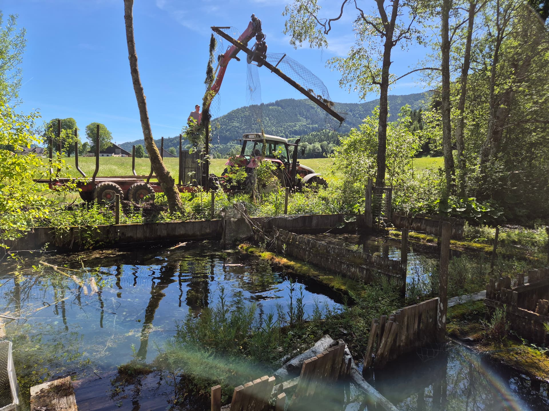 Traktor mit Kran hebt bei Sanierungsarbeiten ein Netz über die Teiche in Faistenau