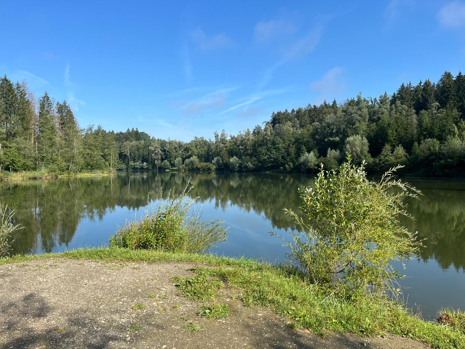 Hürdenteich — Gewässeraufnahme 1