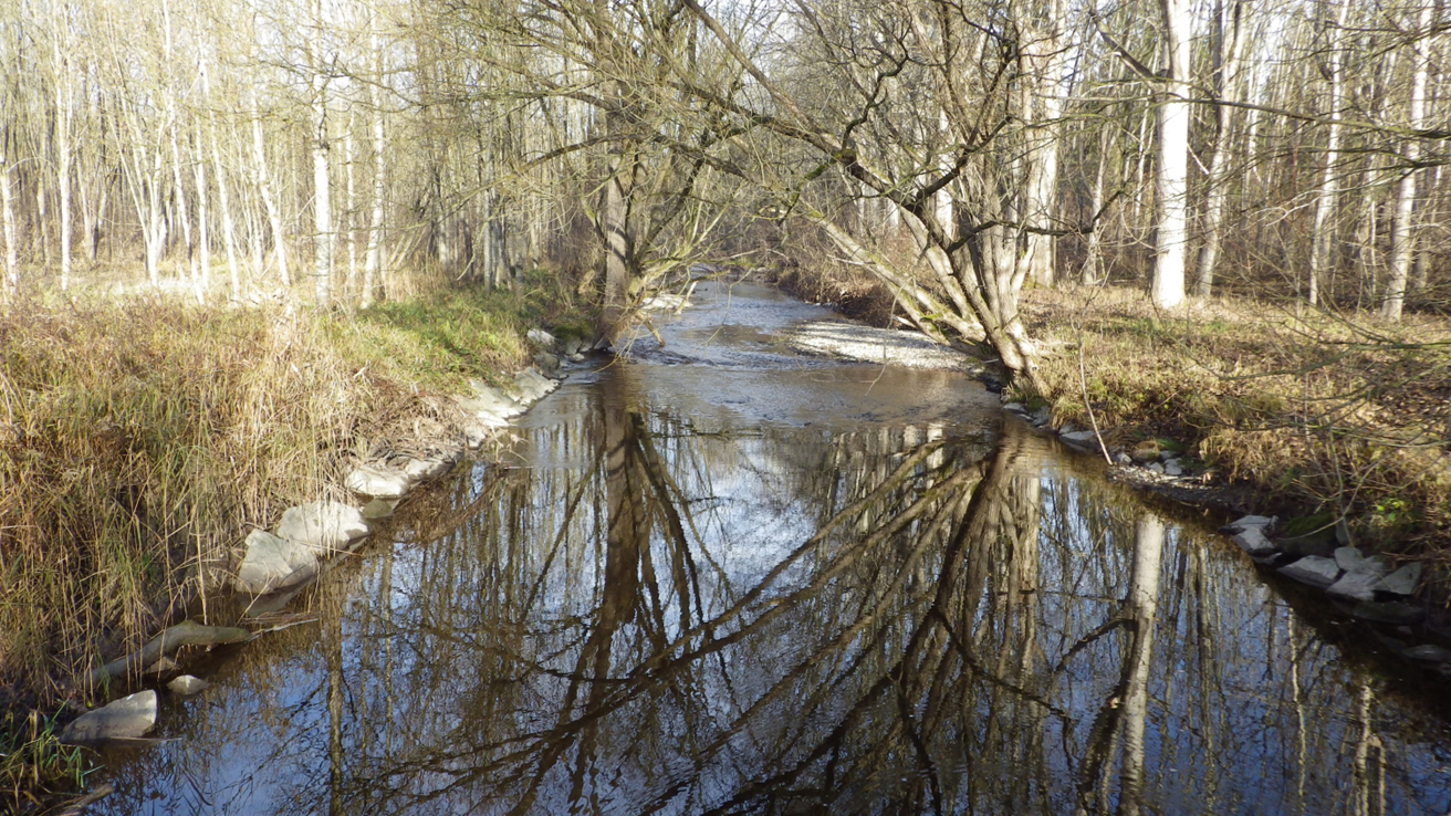 Untere Moosach — Gewässeraufnahme 1