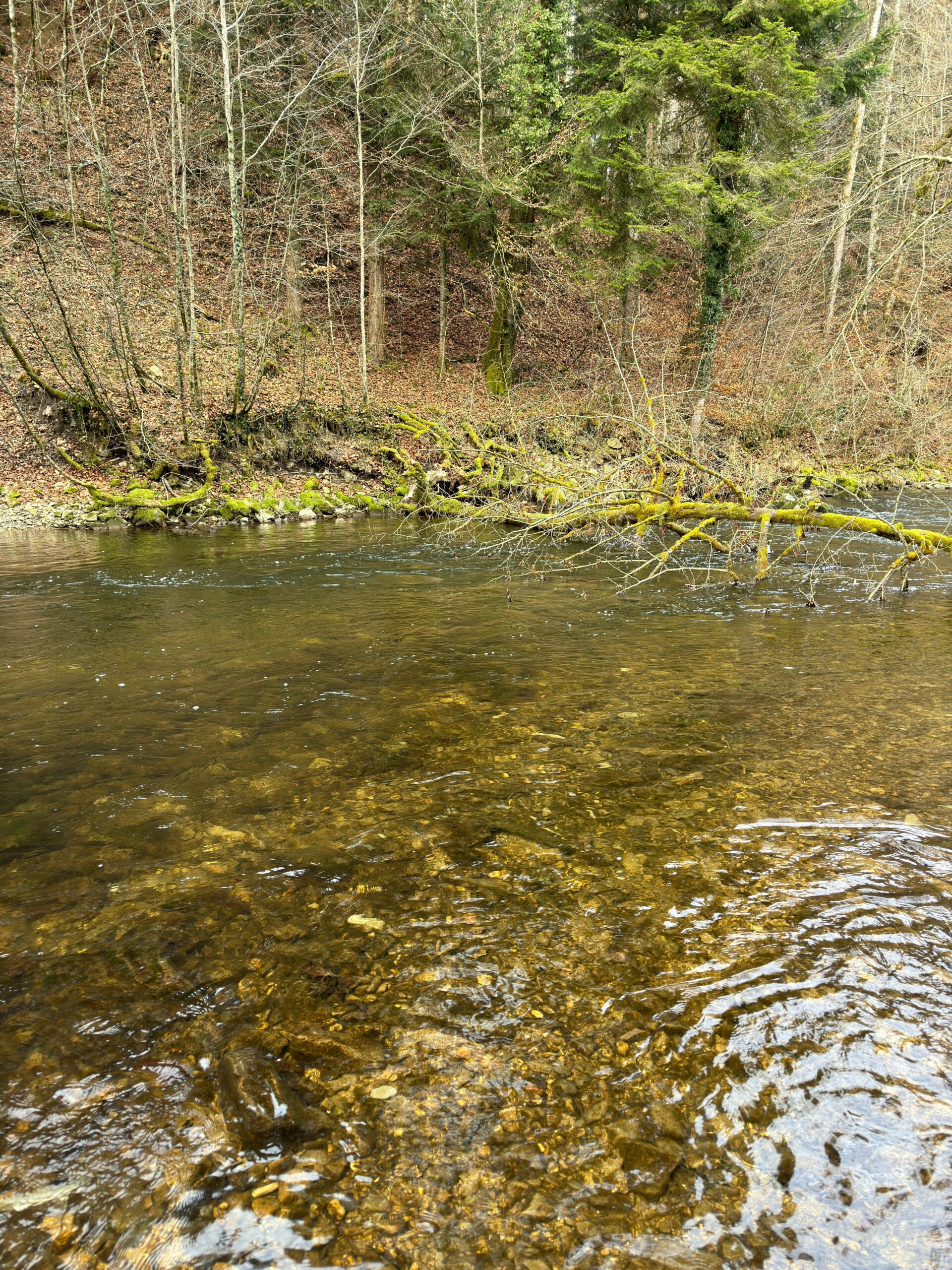Fischach — Gewässeraufnahme 5