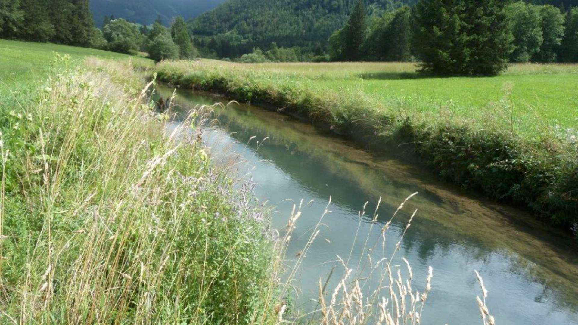 Brunnbach – Tiefbrunnau/Faistenau — Gewässeraufnahme 2